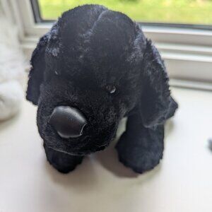 Webkinz - Black Lab
